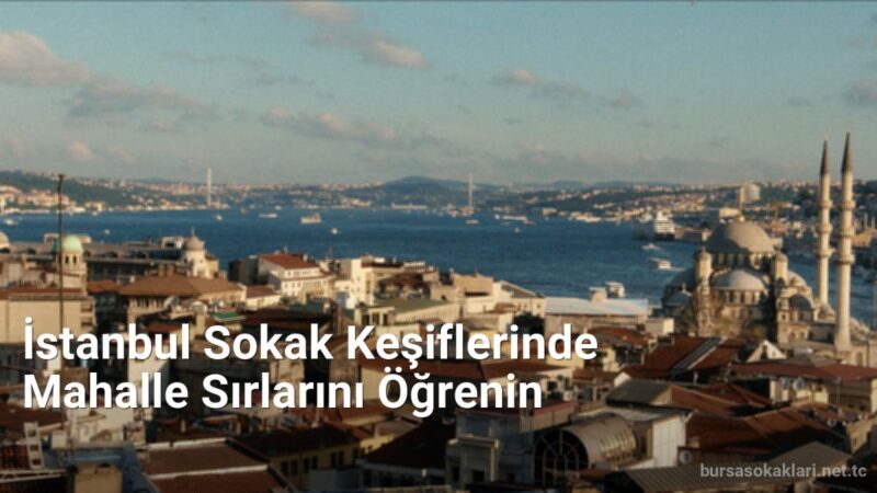 İstanbul Sokak Keşiflerinde Mahalle Sırlarını Öğrenin - bursasokaklari.net.tc